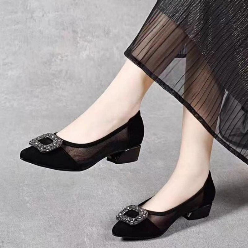 Elegant Pointed Toe Mesh Block - Women Shoes Model recension och pris